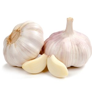 سیر تازه ۵بوته